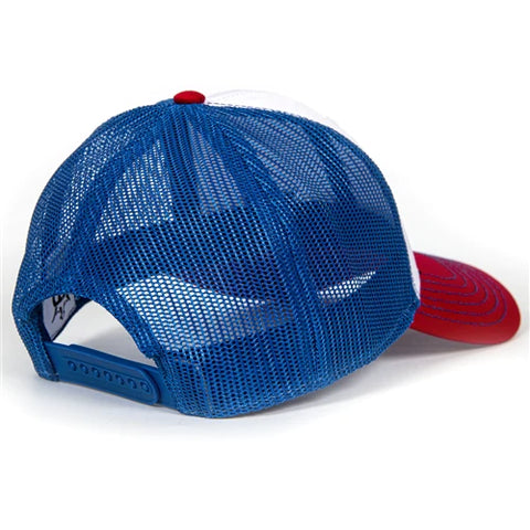 Hat - Dynamic Discs Standard D's Snapback Hat